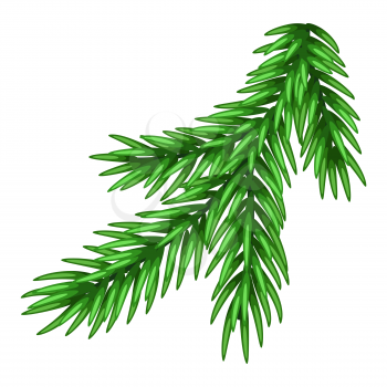 Illustration of spruce branch. Merry Christmas or Happy New Year decoration.