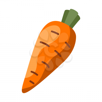 Illustration of fresh ripe carrot. Autumn harvest vegetable.