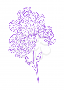 Illustration of violet irise. Beautiful decorative stylized summer flower.