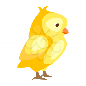 Cute Easter chicken illustration. Cartoon baby bird for traditional celebration.