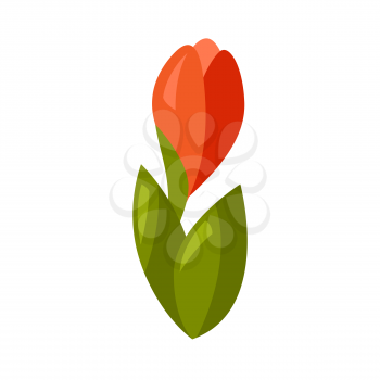 Illustration of young red flower. Season gardening image.