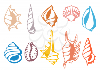 Set of seashells. Tropical underwater mollusk shells decorative illustration.