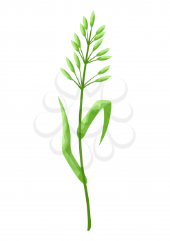 Illustration of stylized cereal grass. Decorative meadow plant.