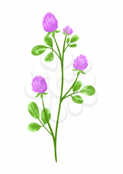 Illustration of stylized clover. Decorative meadow plant.
