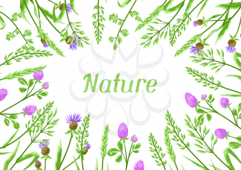 Background with herbs and cereal grass. Floral design of meadow plants.