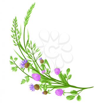 Decorative element with herbs and cereal grass. Floral design of meadow plants.