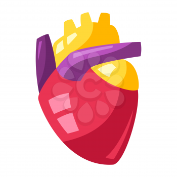 Illustration of human heart. Stylized conceptual image.