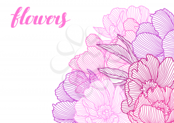 Background with linear peonies. Beautiful decorative stylized summer flowers.