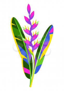 Illustration of tropical heliconia flower. Decorative exotic plant.