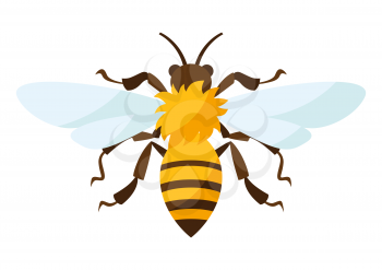Illustration of stylized bee. Image or icon for food or production.