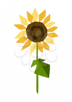 Illustration of ripe sunflower. Agricultural stylized plant. Harvesting season item.