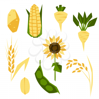 Set of agricultural crops. Harvesting stylized illustration. Vegetables and cereals.