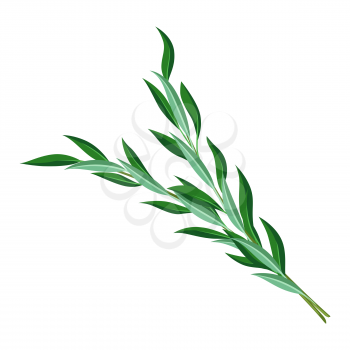 Illustration of willow branches Happy Sukkot traditional symbol. Jewish element for celebration.