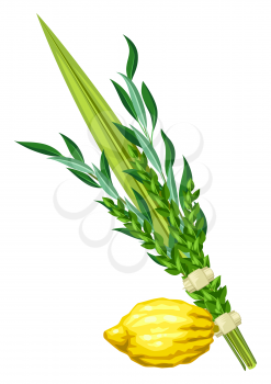 Happy Sukkot traditional symbols. Four species etrog, lulav, willow and myrtle branches. Jewish element for celebration.