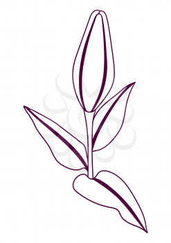 Illustration of stylized lily flower. Decorative image of beautiful bud.. Linear texture.
