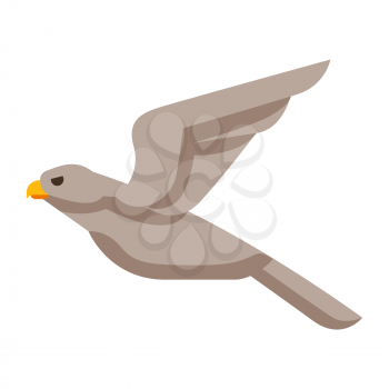 Illustration of stylized hawk. Image of wild bird in simple style. Vector icon.
