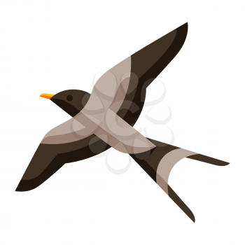Illustration of stylized swallow. Image of wild bird in simple style. Vector icon.
