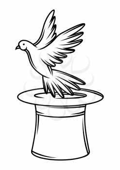 Magician cylinder from which pigeon fly out. Trick or magic illustration. Black and white stylized picture.