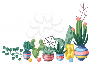 Background with cactuses and succulents. Decorative spiky flowering cacti and plants in flowerpots. Home craft decoration.