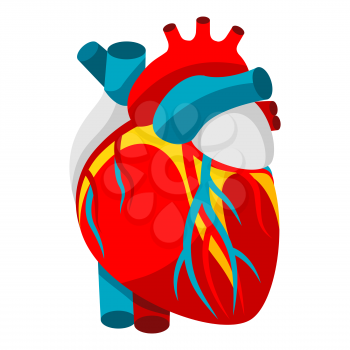 Illustration of human heart. Object for medicine and health. Medical symbol in style.