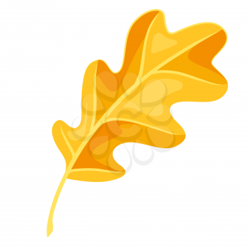 Illustration of oak leaf. Decorative autumn plant. Nature item for design.