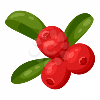 Illustration of cranberries. Decorative autumn plant. Nature item for design.