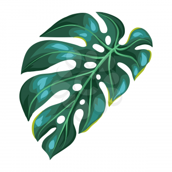 Illustration of stylized monstera palm leaf. Decorative image of tropical foliage and plant.
