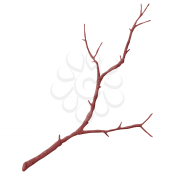 Illustration of stylized bare branch without leaves. Decorative plant. Twig for decoration.