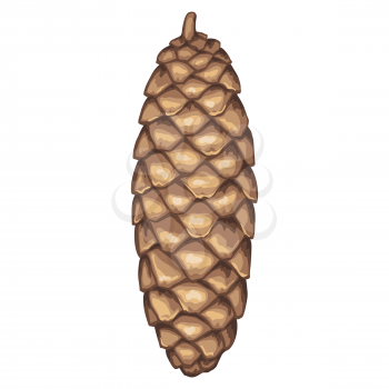 Illustration of spruce cone. Element for Christmas and New Year design.