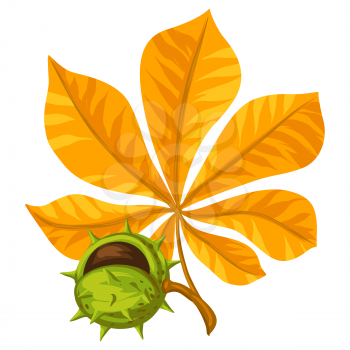 Illustration of stylized leaf with chestnut. Decorative autumn plant. Twig for decoration.