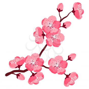 Illustration of beautiful sakura or cherry branch. Floral japanese blooming flower. Hand drawn plant for design and decoration.