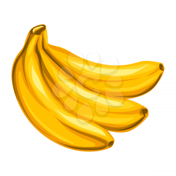 Stylized illustration of bananas. Image for design and decoration. Object or icon in hand drawn style.