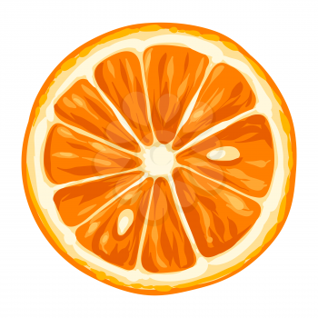 Stylized illustration of orange. Image for design and decoration. Object or icon in hand drawn style.