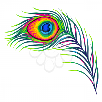 Stylized illustration of peacock feather. Image for design and decoration. Object or icon in hand drawn style.