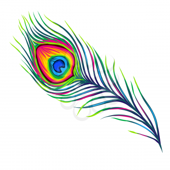 Stylized illustration of peacock feather. Image for design and decoration. Object or icon in hand drawn style.