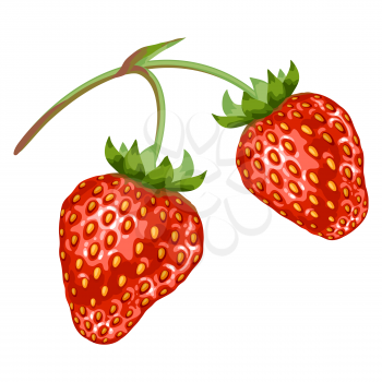Stylized illustration of strawberry. Image for design and decoration. Object or icon in hand drawn style.