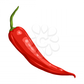 Stylized illustration of chili pepper. Image for design and decoration. Object or icon in hand drawn style.