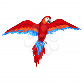 Stylized illustration of parrot. Image for design and decoration. Object or icon in hand drawn style.