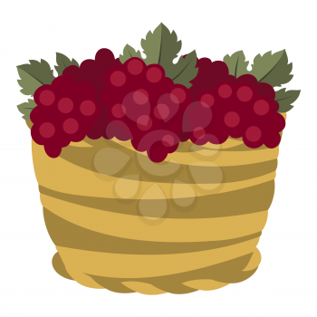 Stylized illustration of grapes basket. Image for design and decoration. Object or icon in abstract style.