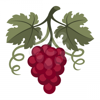 Stylized illustration of grapes. Image for design and decoration. Object or icon in abstract style.
