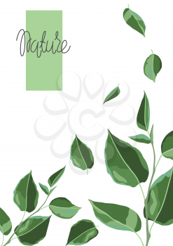 Card or background with branches and green leaves. Spring or summer stylized foliage. Seasonal illustration.