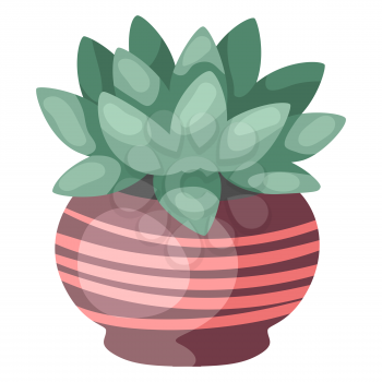 Stylized illustration of succulent in pot. Image for design and decoration. Object or icon in abstract style.