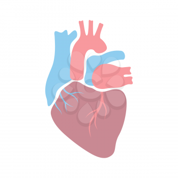 Illustration of heart internal organ. Human body anatomy. Health care and medical education icon.
