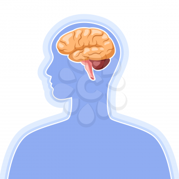 Illustration with brain internal organ. Human body anatomy. Health care and medical education image.
