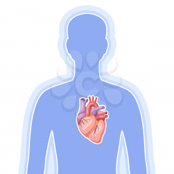 Illustration with heart internal organ. Human body anatomy. Health care and medical education image.
