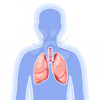Illustration with lungs internal organ. Human body anatomy. Health care and medical education image.