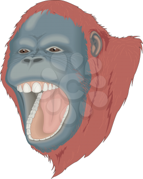 Apes Clipart