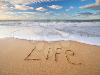 Life word on the sea sand. Conceptual nature design.