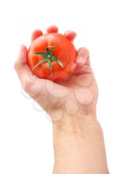 Tomato in hand. Isolated design.