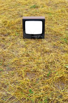 Old tv on the meadow. Element of design.